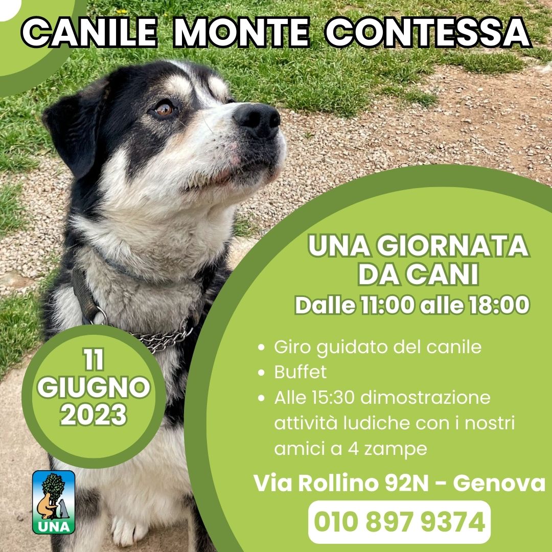 OPEN DAY Canile Monte Contessa 1